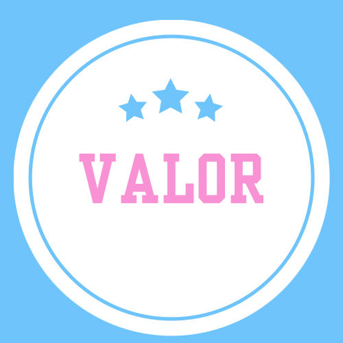 VALOR